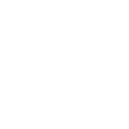 Maps And Flags